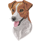 JACK RUSSEL T-SHIRT