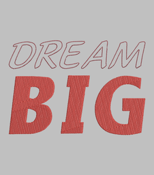 DREAM BIG (2)